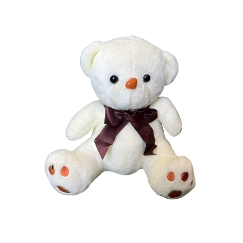Little White Teddy Bear of Pure Love